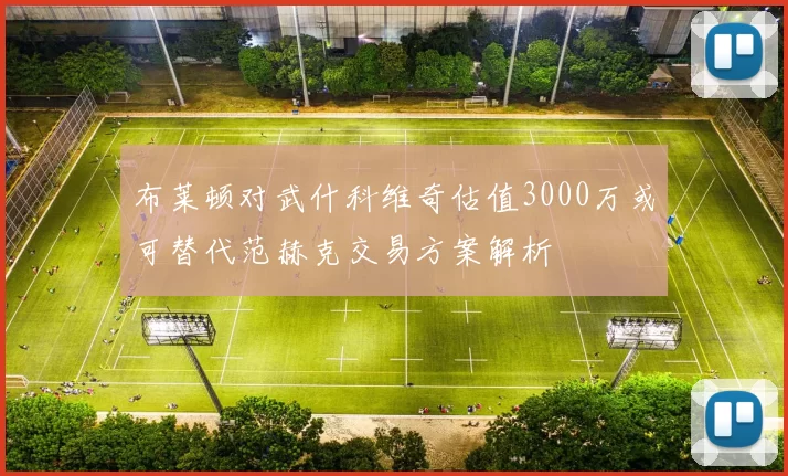 布莱顿对武什科维奇估值3000万或可替代范赫克交易方案解析