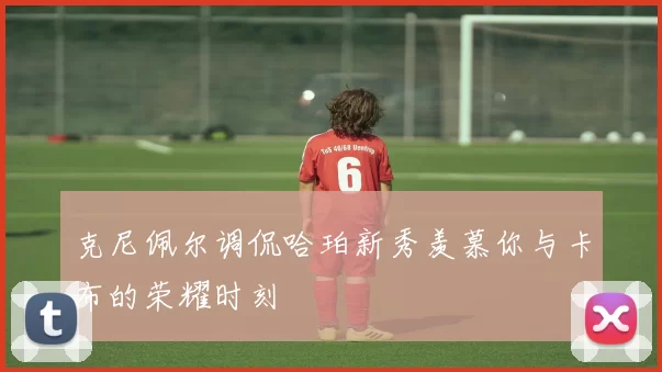 克尼佩尔调侃哈珀新秀羡慕你与卡布的荣耀时刻