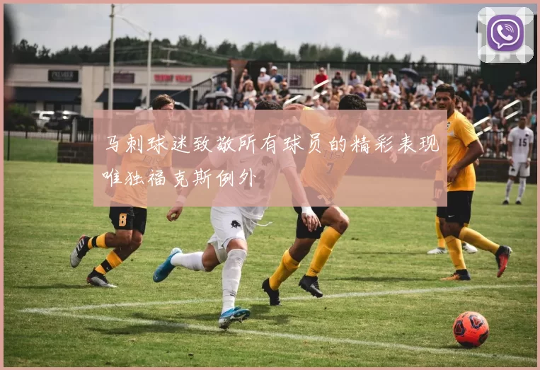 马刺球迷致敬所有球员的精彩表现唯独福克斯例外