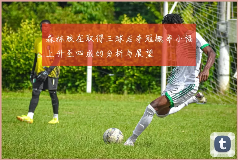 森林狼在取得三球后夺冠概率小幅上升至四成的分析与展望